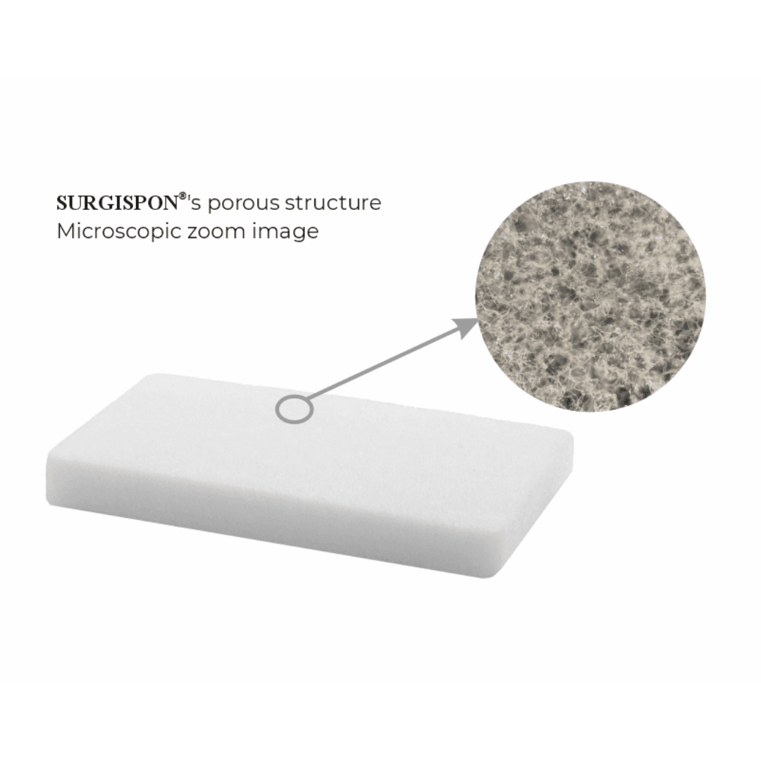 1-SURGISPON ® FLEX-0