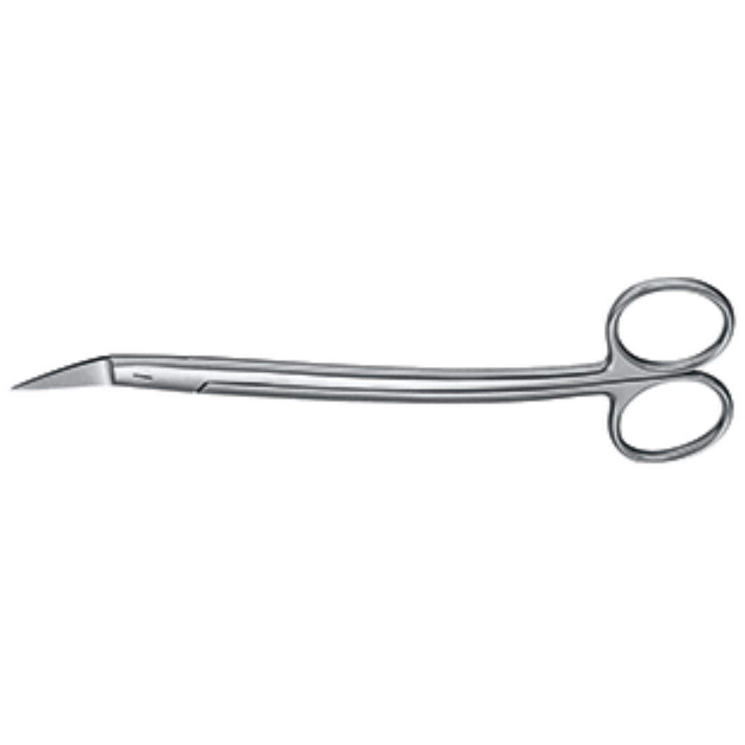 Ciseaux gingivaux DEAN dentés, 17,5 cm en forme de S-0