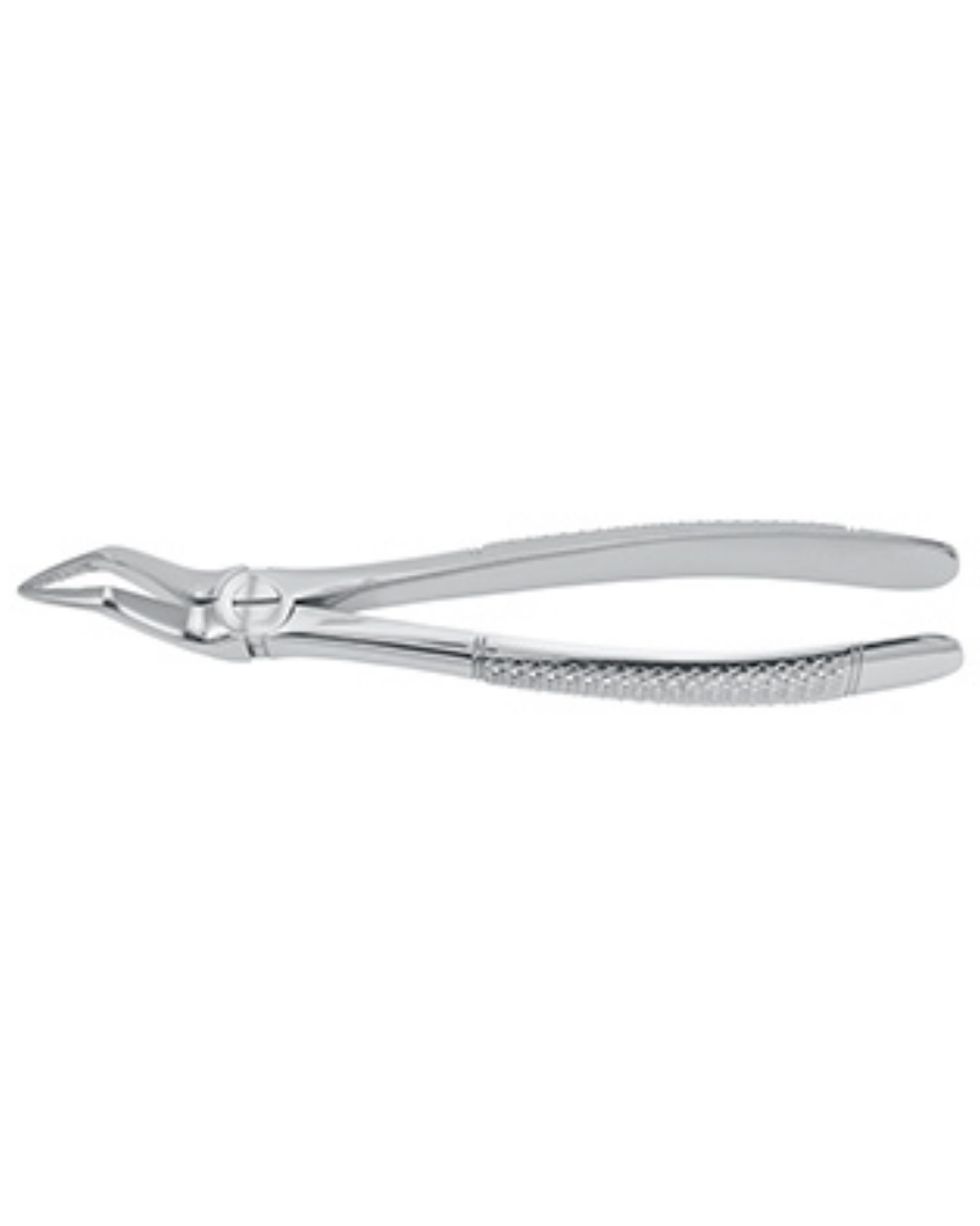 Davier, fig. 51A pour racines, manche carré, 17,0cm-0