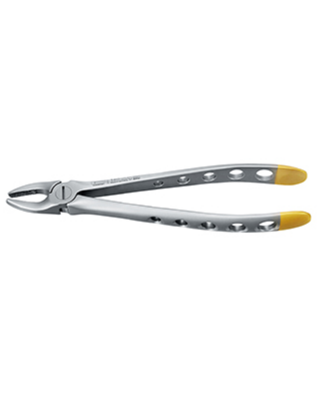 Forceps, Engl. Modèle, fig. 2D incisives supérieures et canines Tac-Traction, diamanté, 16cm-0