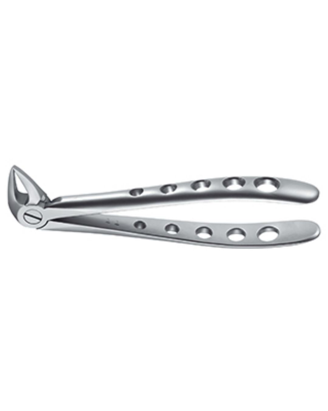 Forceps, Engl. Modèle, fig. 33A incisives inférieures, canines et racines Tac-Traction, 14,5cm-0