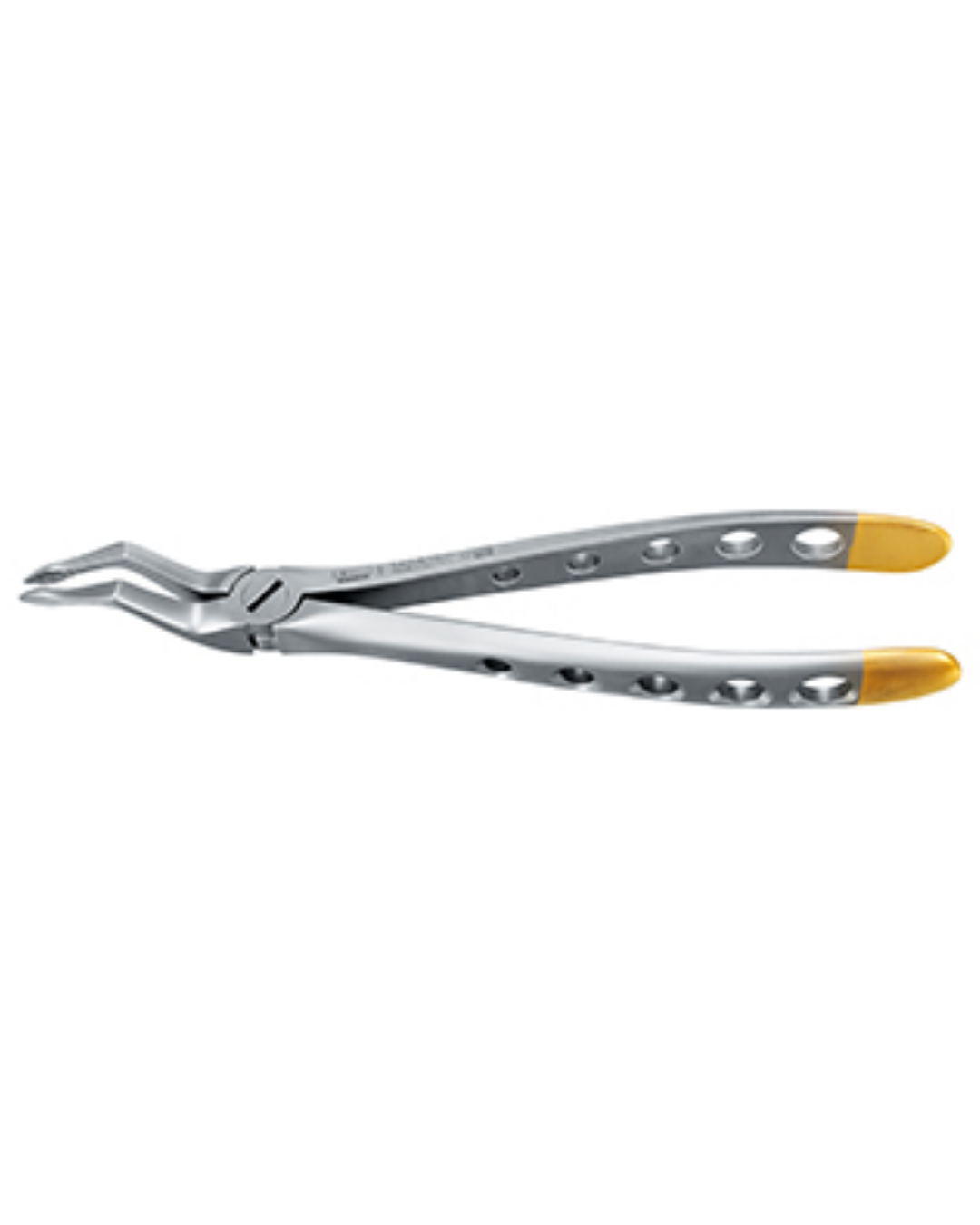 Forceps, Engl. Modèle, fig. 51SD racines supérieures, micro dentelé, diamanté Tac-Traction,17.5cm-0