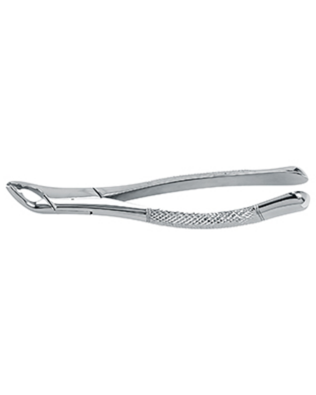 Pince d’extraction, motif Américain, fig. 151 AB, dents inférieures, manche carré 18,0cm-0