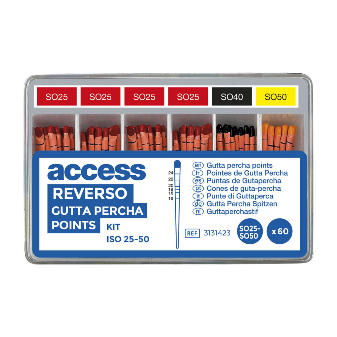 REVERSO POINTES DE GUTTA PERCHA-0