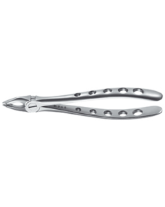 Forceps, Engl. Modèle, fig. 34 incisives supérieures et canines becs spéciaux fins, grande portée, 16cm