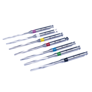 Forets cylindro-coniques