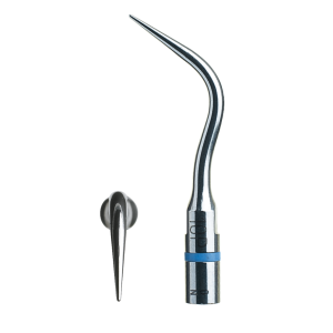 Insert de détartrage parodontal n°10P