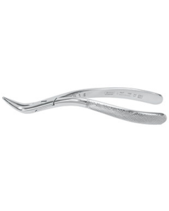 Pince d’extraction de racines WITZEL universelle, manche carré, 15,5cm