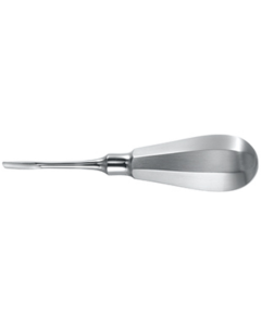 Racine élevée. Très délicate, pour une luxation sensible, 4,5 mm, 12,5 cm. Droit